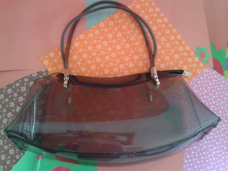 Cartera Transparente